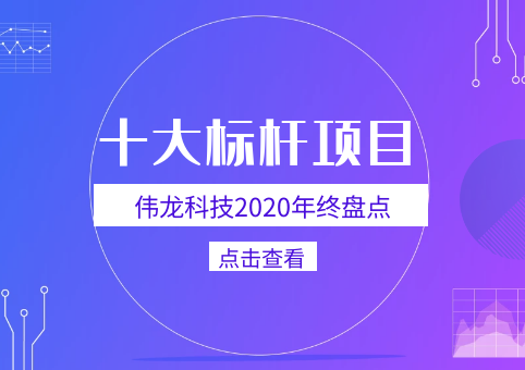 盘点：伟龙科技2020十大标杆项目